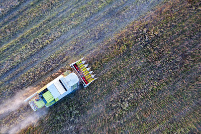 High angle view of agricultural field