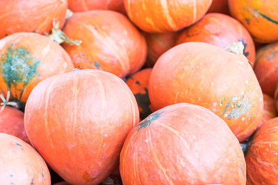 Full frame shot of pumpkins for sale at market stall