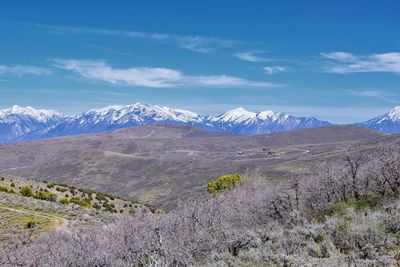 Hiking trails in oquirrh, wasatch, rocky mountains utah yellow fork and rose canyon salt lake city.