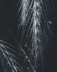 Full frame shot of raindrops on wet road