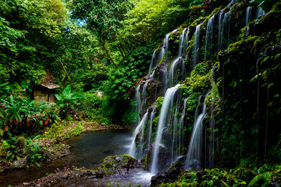 Stream flowing through rocks in forest