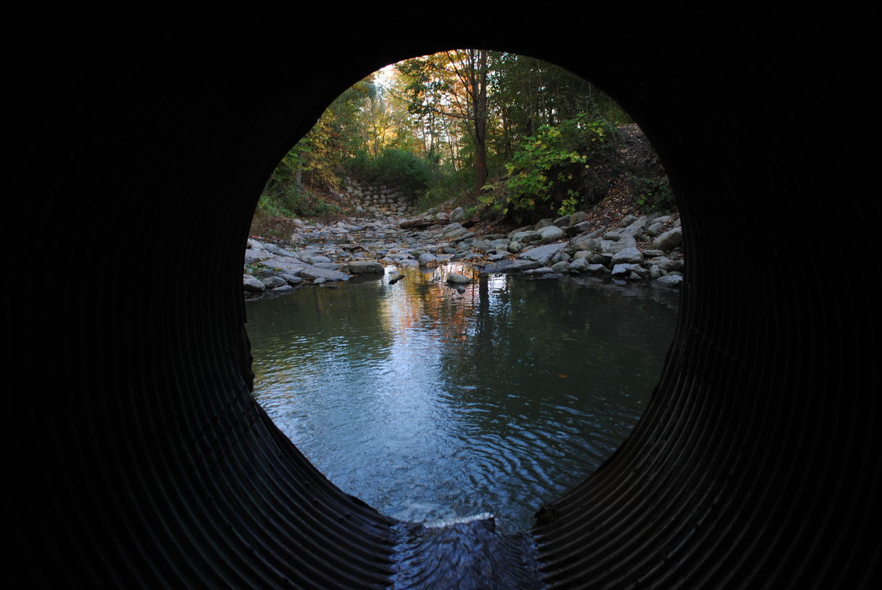 REFLECTION OF TREES IN WATER TUNNEL