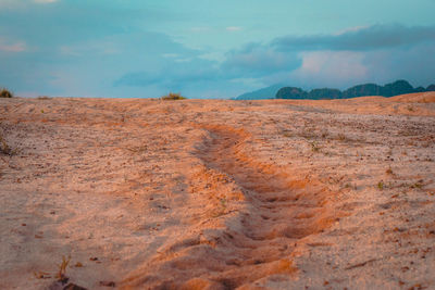 Scenic view of desert against sky