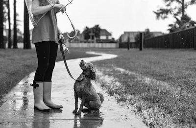 Low section of woman with dog on footpath during rainy season