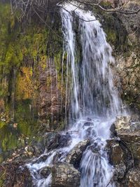 View of waterfall in forest