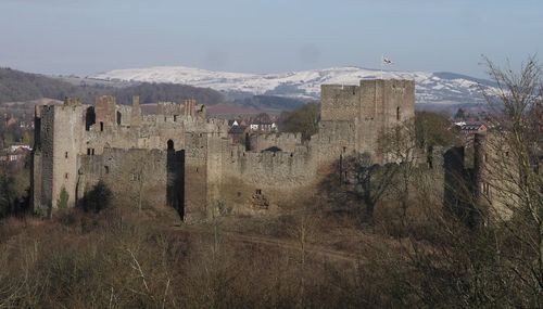 Bird flying over castle against sky