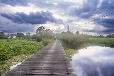 Boardwalk amidst plants against sky