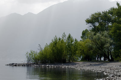 Scenic view of river by trees against sky