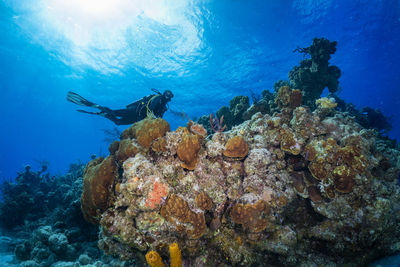 Woman diving undersea
