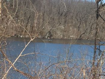 Bare trees on lake against sky