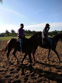 Men riding horses on field during sunny day