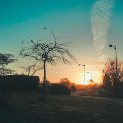 Silhouette of birds at sunset