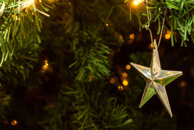 Close-up of illuminated christmas tree at night