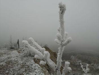 Snow covered land against sky