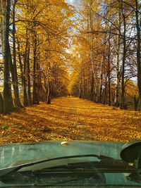 Road amidst trees during autumn