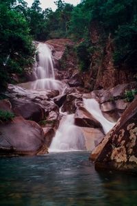 Scenic view of waterfall in forest