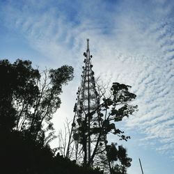 Low angle view of trees against sky