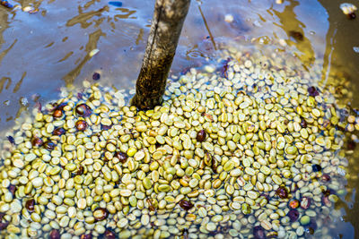 Full frame shot of water in container