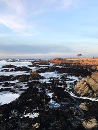 Scenic view of sea against sky during winter