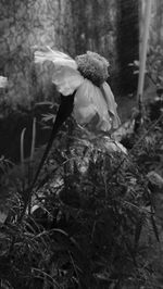 Woman and plants on field in forest