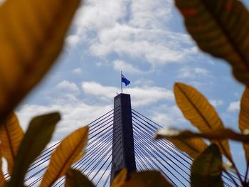 Low angle view of flag against sky
