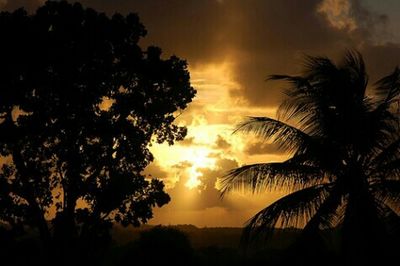 Silhouette of palm trees against cloudy sky