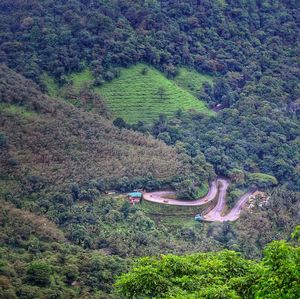 High angle view of road amidst trees