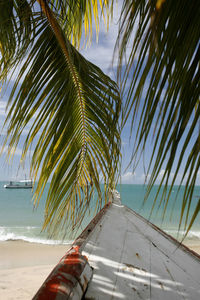 Boat moored at beach by palm leaves
