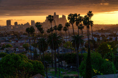 Palm trees and buildings against sky during sunset