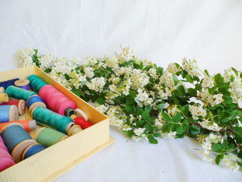 High angle view of various flowers on table