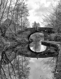 Reflection of trees in water