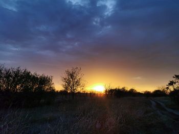 Silhouette trees on field against sky during sunset