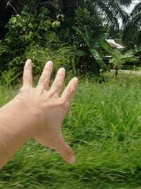 Close-up of cropped hand