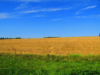 Scenic view of field against clear blue sky