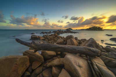 Driftwood on beach against sky during sunset