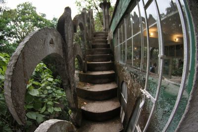 Railroad tracks by trees