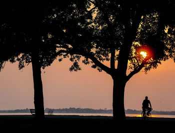 Silhouette man riding bicycle on tree against sky during sunset