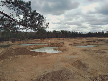 Scenic view of landscape against sky