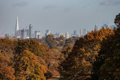 Trees and buildings against sky during autumn