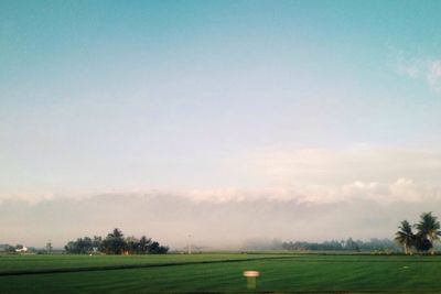 Scenic view of grassy field against sky