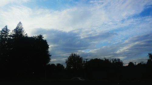 Silhouette of trees at sunset