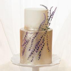 Close-up of fresh yellow flower over white background