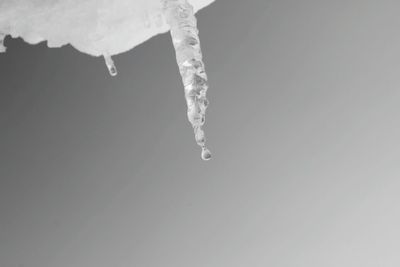 Close-up of water drops on white background