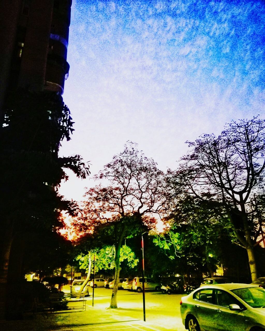 tree, growth, sky, outdoors, day, no people, branch, architecture, grass, nature, beauty in nature