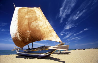 Sailboats moored at beach against sky