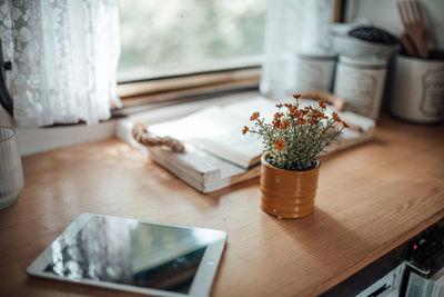 Close-up of potted plant on table