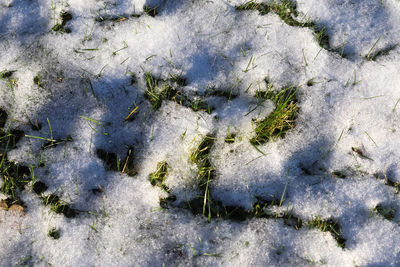 Full frame shot of snow