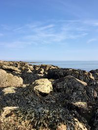 Rocks on beach against sky