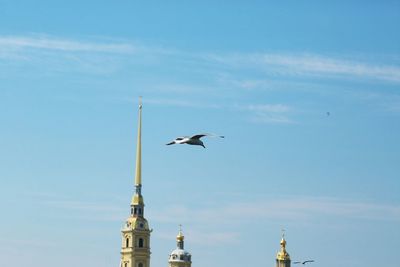 Low angle view of bird flying in sky