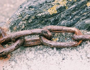 Close-up of rusty metal